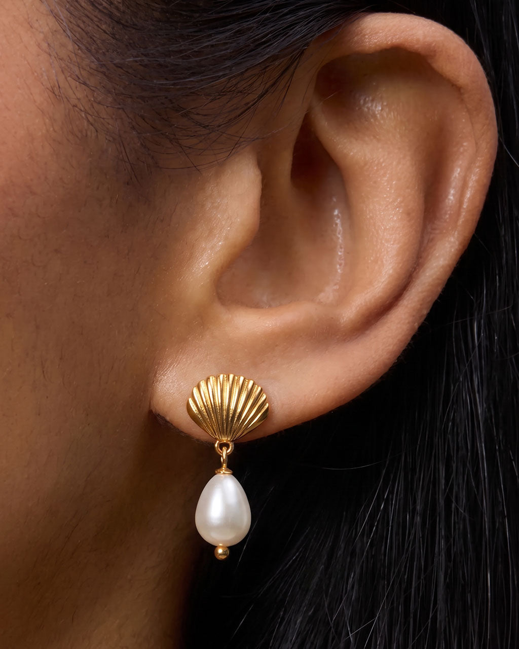 Seashell Freshwater Pearl Drop Waterproof Gold Earrings
