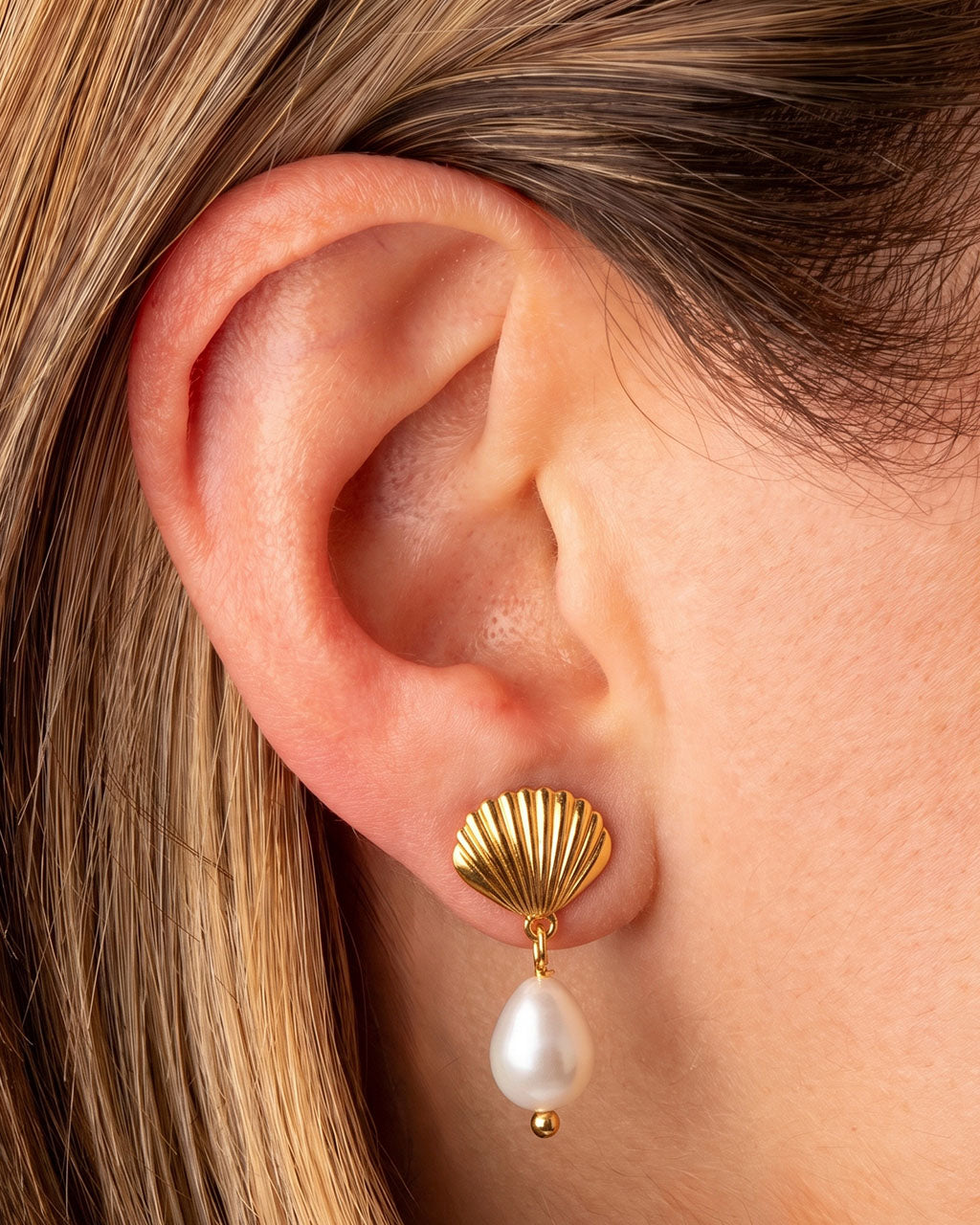 Seashell Freshwater Pearl Drop Waterproof Gold Earrings